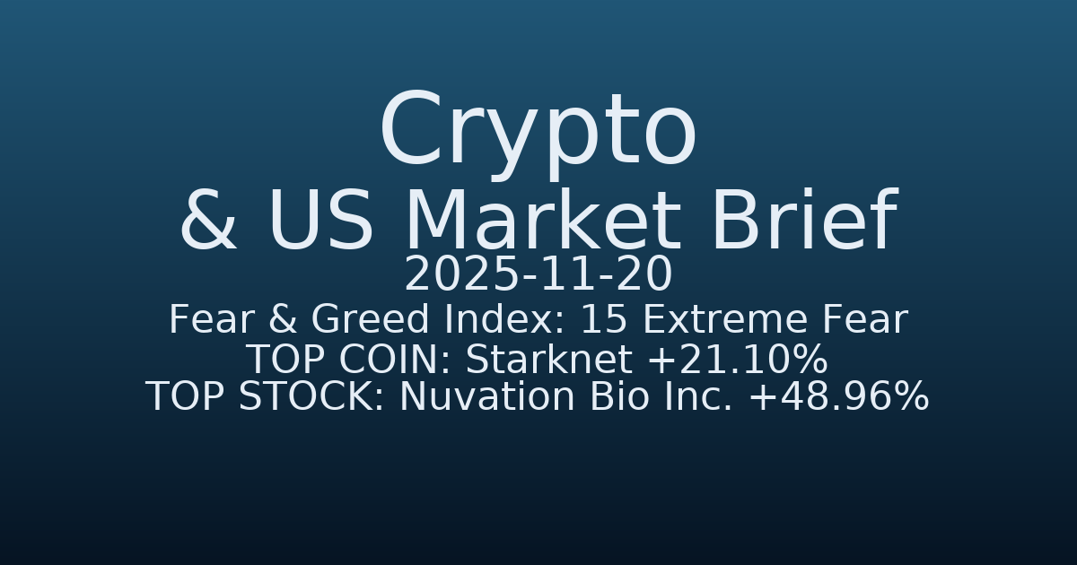 코인·미증시 요약 (Crypto & US Market Brief) (2025-11-20)